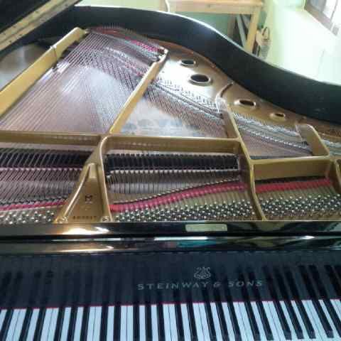 steinway and sons type m rangka